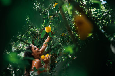 Young woman with fruits on tree