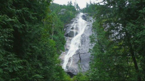 Scenic view of waterfall