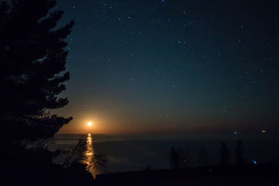 Scenic view of silhouette trees against sky at night