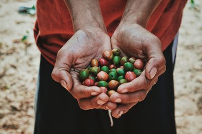 Close-up of hand holding multi colored berries