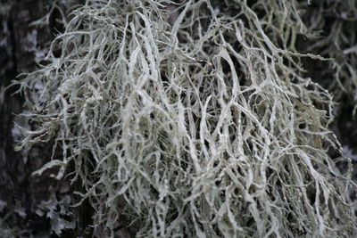 Full frame shot of fishing net