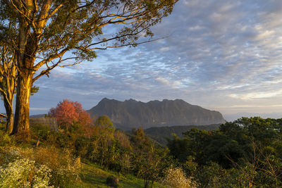 Scenic view of landscape against sky during autumn