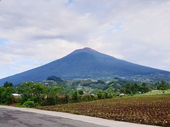 Scenic view of field by mountains against sky