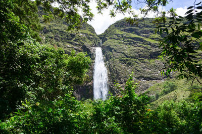 Scenic view of waterfall in forest