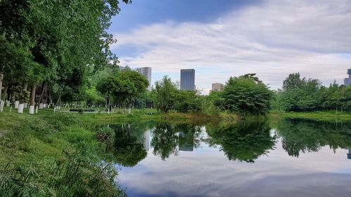 Reflection of trees in lake against sky in city