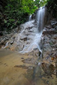 View of waterfall in forest