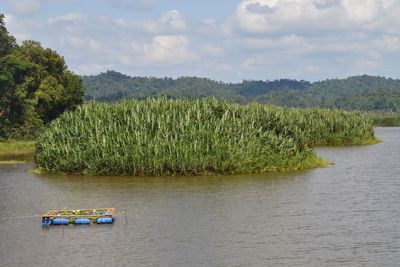 Scenic view of river against sky