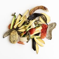 High angle view of chopped mushrooms against white background