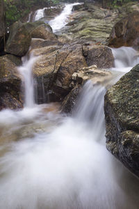 Scenic view of waterfall in forest