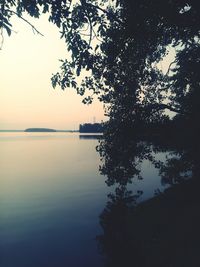 Reflection of trees in calm lake