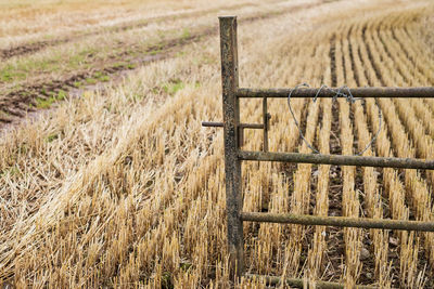 View of hay bales in field