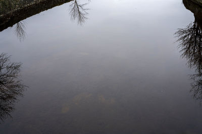 Reflection of tree in lake against sky