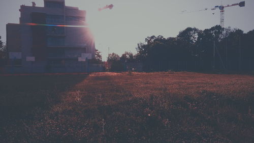 Street light and trees against sky
