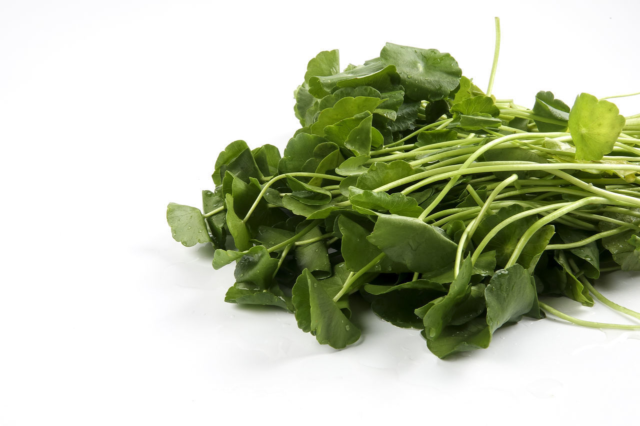 CLOSE-UP OF FRESH VEGETABLE AGAINST WHITE BACKGROUND