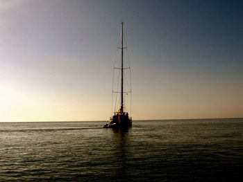 Sailboat sailing on sea against clear sky