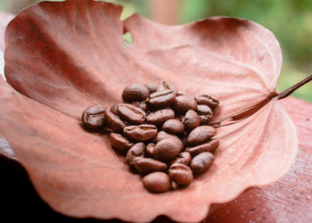 Close-up of coffee beans