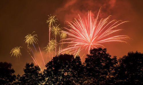 Low angle view of firework display against sky at night