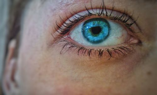 Cropped image of woman eye