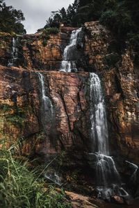 Scenic view of waterfall in forest