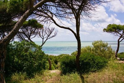 Scenic view of sea against sky