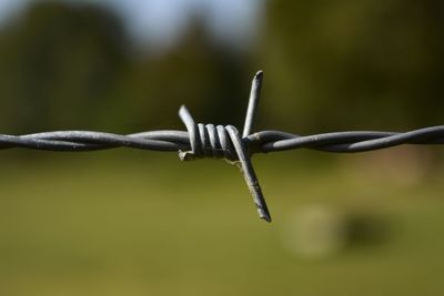 Close-up of barbed wire