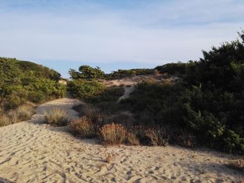 Scenic view of beach against sky