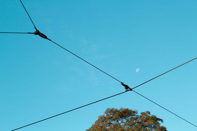 Low angle view of power lines against clear blue sky