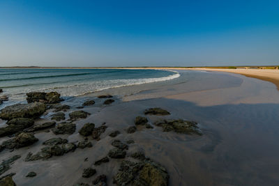 Scenic view of beach against clear blue sky