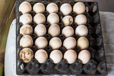 High angle view of eggs in container