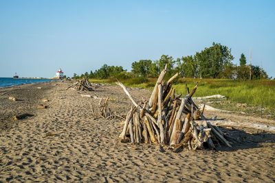 Scenic view of beach against clear sky