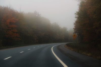 Country road amidst trees during foggy weather