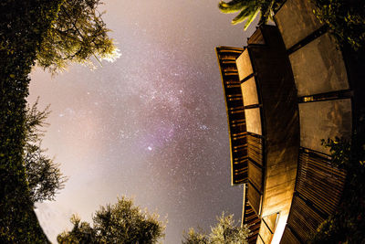 Low angle view of trees against sky at night