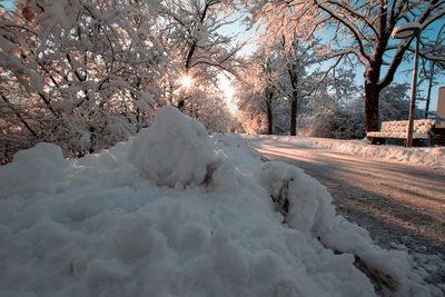 Snow covered trees on field during winter