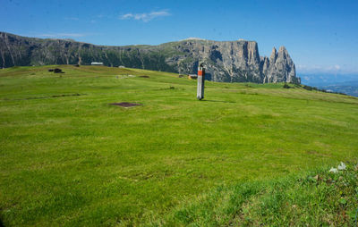 People walking on field