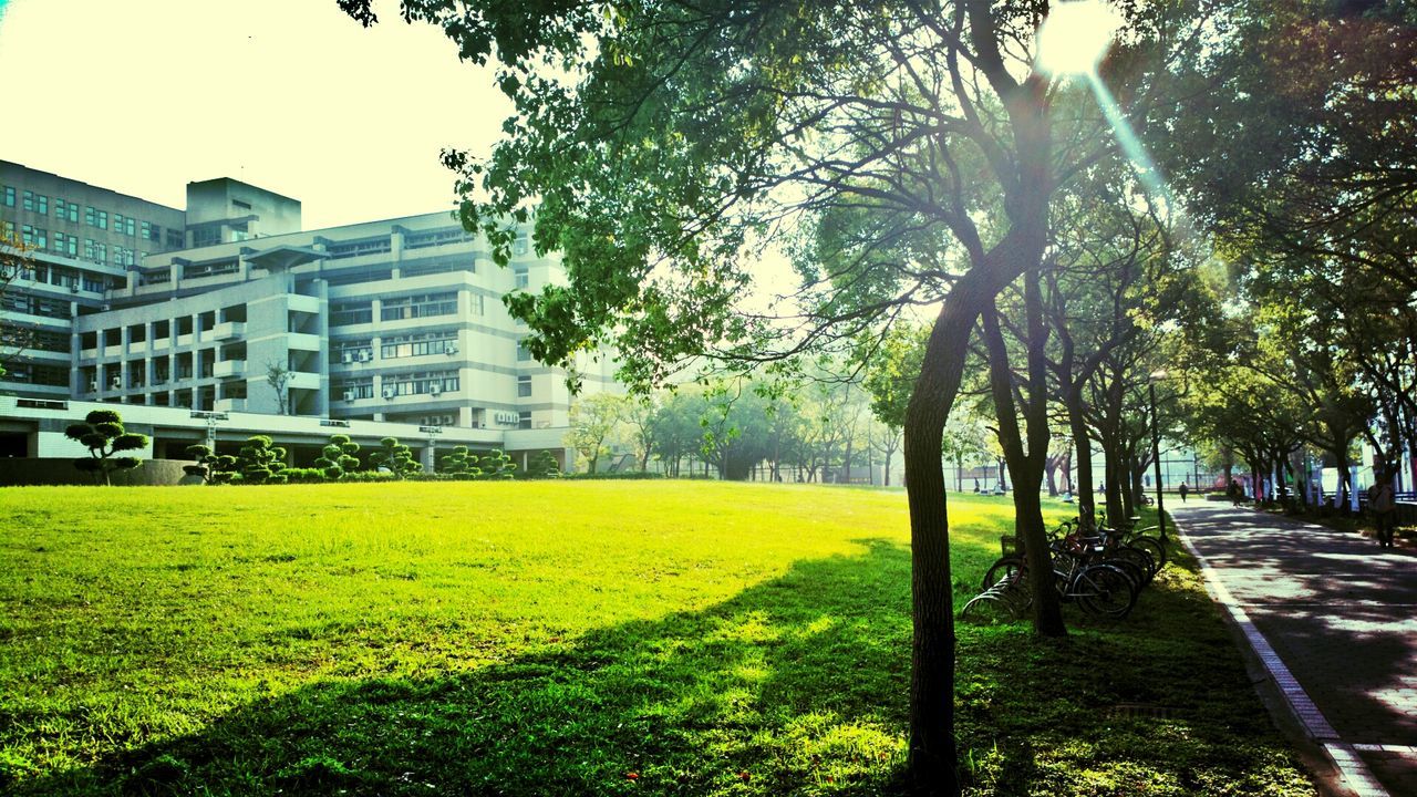 building exterior, architecture, built structure, tree, grass, city, sunlight, lawn, green color, growth, park - man made space, incidental people, building, sky, clear sky, shadow, footpath, day, outdoors, tree trunk