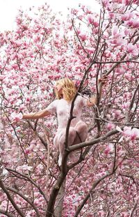 Low angle view of pink flowers blooming on tree