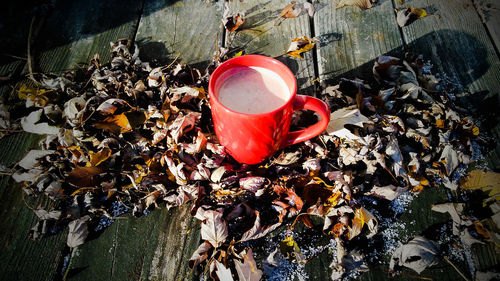 High angle view of coffee and red leaves