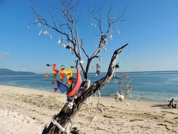 Bare tree on beach against sky