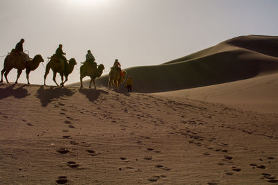 Group of people riding camels in desert