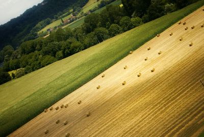 Scenic view of landscape
