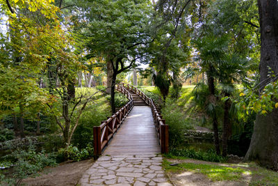 Footpath amidst trees in forest