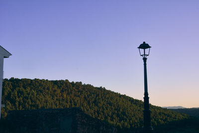 Lamppost watching the bush on a summer afternoon, colors of nature