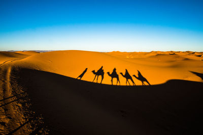 Silhouette people riding on desert against clear sky