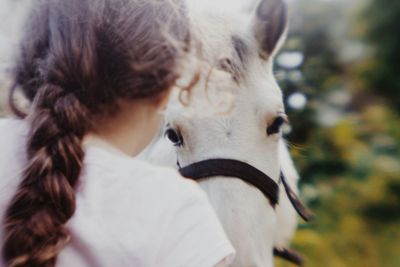 Close-up portrait of a dog