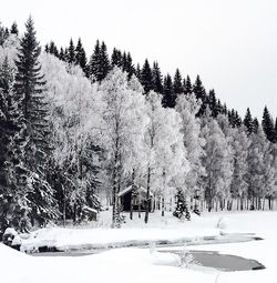 Scenic view of snow covered landscape