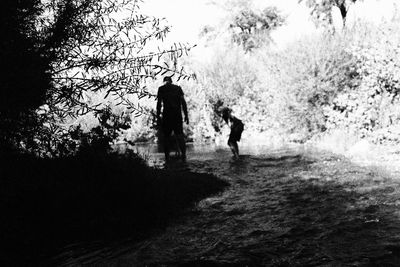 People walking on road amidst trees in forest