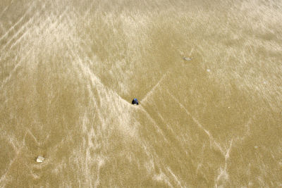 High angle view of person on the ground