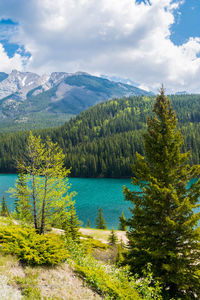 The lake moraine in the banff national park is a scenic tourist attraction 