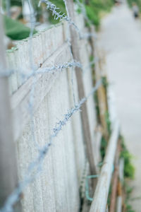 Close-up of fence against blurred background