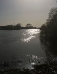 Scenic view of trees against sky